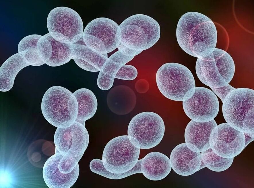 Prostatitis bacteriana