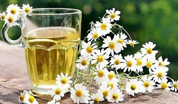té de manzanilla para la prostatitis